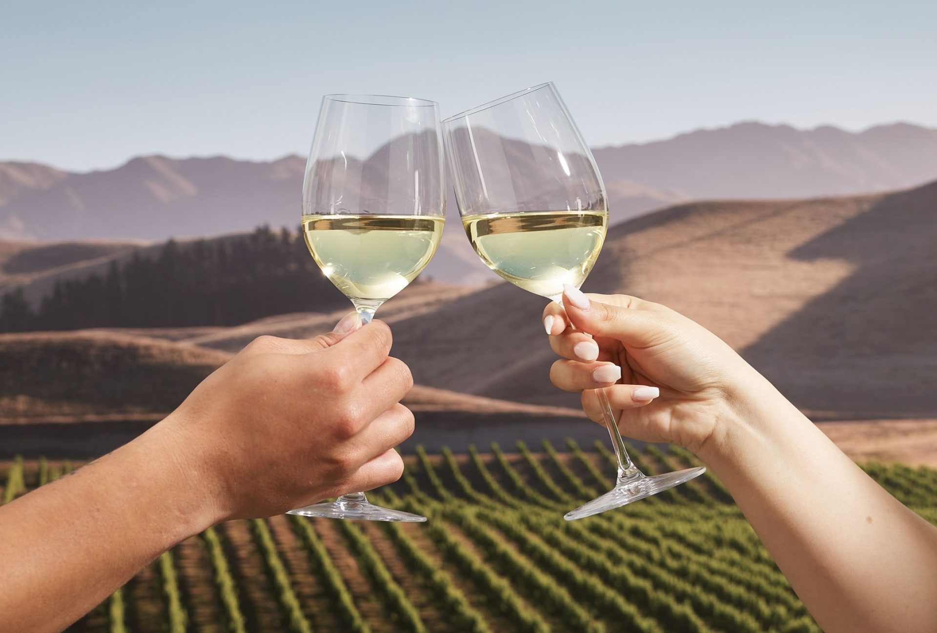 Main image for Afternoon of Wine